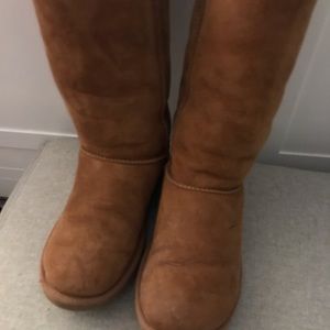 Tall Classic Chestnut Uggs